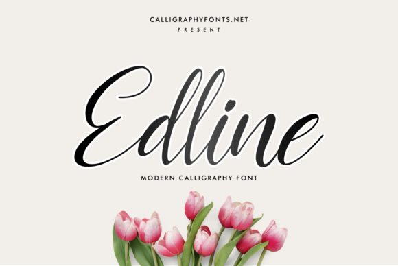 Edline: A Beautiful Script Font for Crafting and Branding