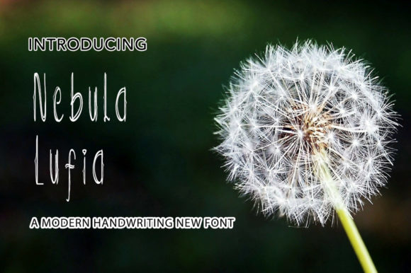 Nebula Lufia: A Handwritten Typeface That Elevates Web Design