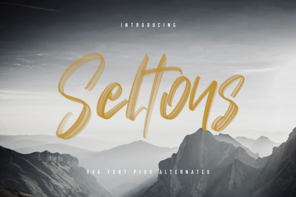 Seltons: A Brushed Script Font That Brings Warmth to Branding