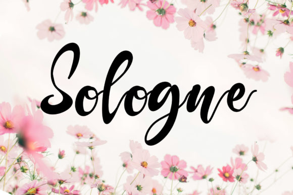 Sologne Font Review: A Delicate Handwritten Typeface for Creative Branding